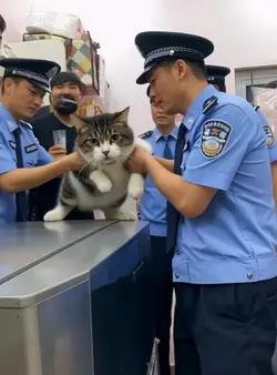 PET AI CAPTURED