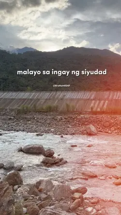 PAYAPA