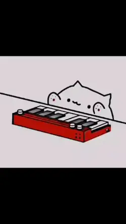 Crazy Cat