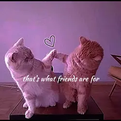 bestie
