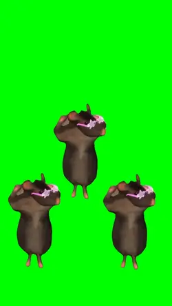 DANCING RAT CUSTOM