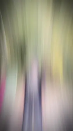 1 ảnh meme