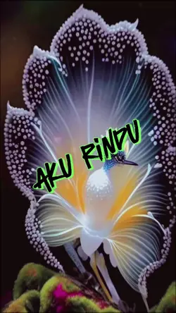 akurindu