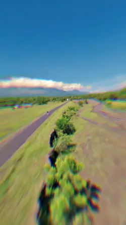 Slowmo Lady Killers