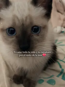 te exrañare