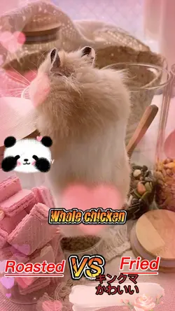 nya.ハムスター