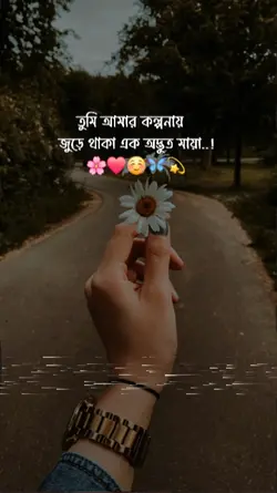 Status video