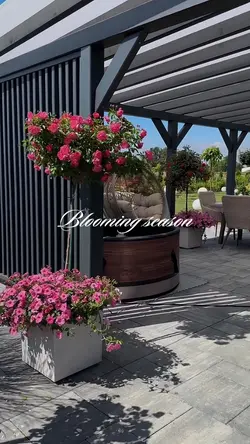blooming season