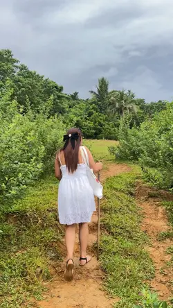 Nature Trip