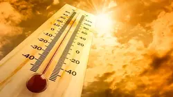 caldo 