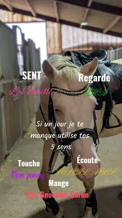 tes 5 sens