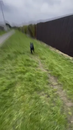 Run!