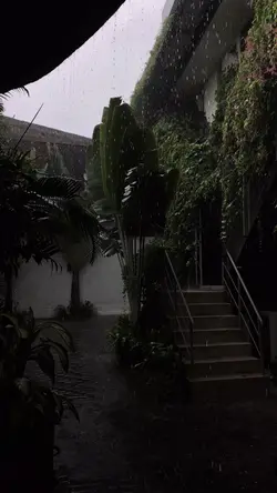 RAIN VIBES