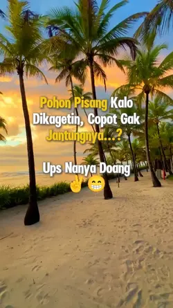 story lucu