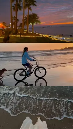 3 grid videos