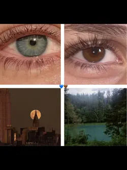 blue/green and brow
