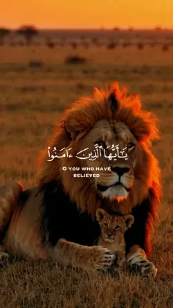 #قرآن_كريم