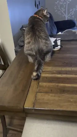 What’s the ?