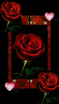 I see red roses