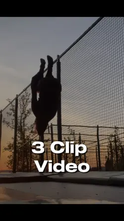 3 Videos 