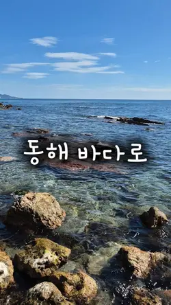 동해 바다로 고래 잡으러 왔다!