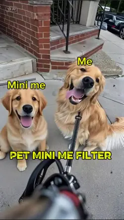 Pet mimi me filter 