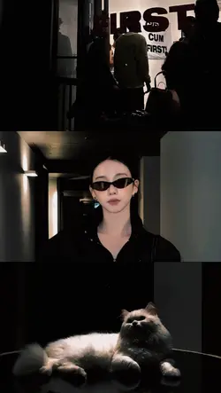 Aesthetic Collage
