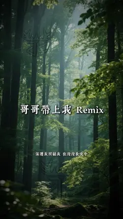 玖壹壹 - 哥哥帶上我 Remix