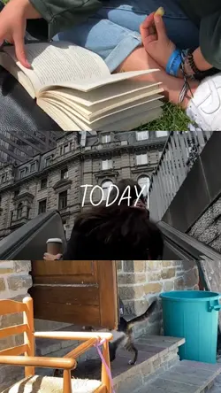 Today’s Story 🎞️