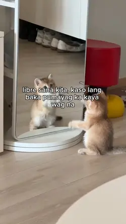 libre sana kita, kas