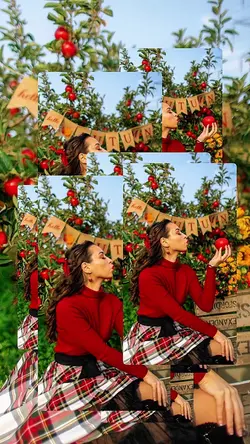 New Photo Transition