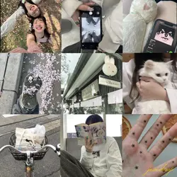 june recap 