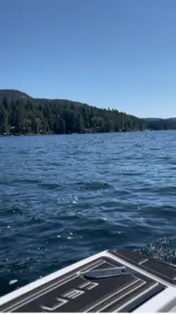 Summer lake 