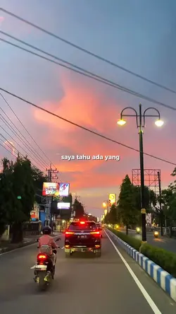 saya tau saya bodoh