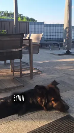 Eywa
