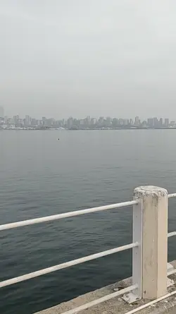 Vlog