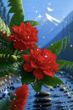 Galaxias en Rosas 
