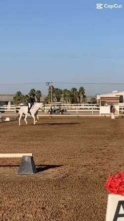 Dressage 😻😻
