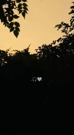 شايف صدمتك 