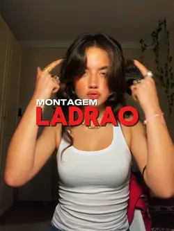 montagem ladrao