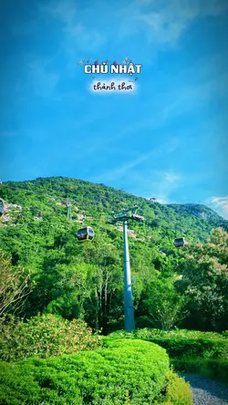 chủ nhật 11 ảnh