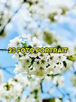 23 foto portrait