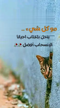 الانسحاب افضل