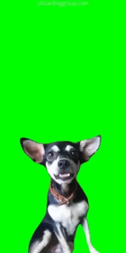 zezin mamãe 