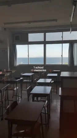 ♾️ school memories