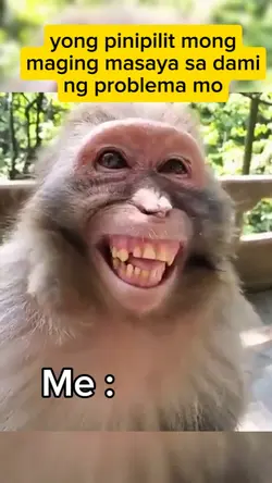monkey memes 