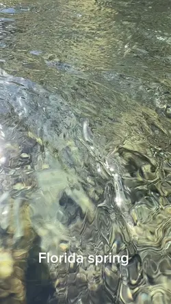 Florida 