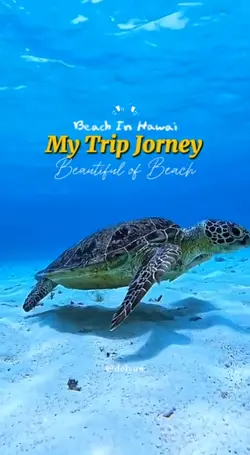 Vlog Treveling