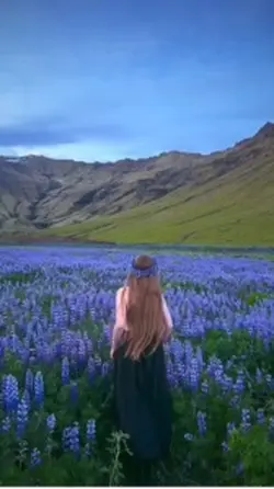 Countryside view