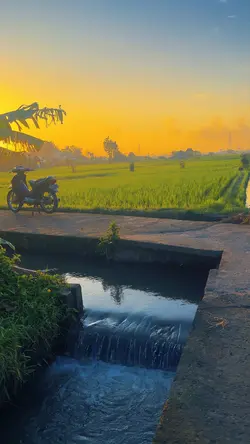 SunRise Estetik